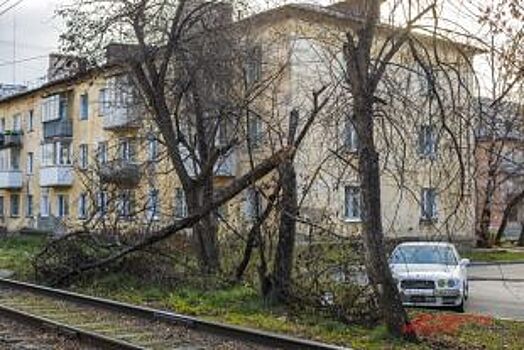 Ураганы и пожары. Как Сибирь пережила нашествие стихий