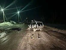 В Самарской области водитель "Нивы" насмерть сбил пешехода