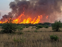 Камчатские пожарные победили огонь, потушив последний лесной пожар сезона