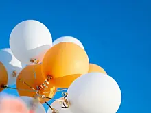 16 апреля самарский львенок Алтай отметит свой первый день рождения