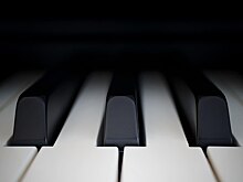 Жители Лианозова совершили музыкальное путешествие в Вену