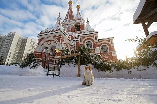 Температура в Москве достигла максимума с начала года