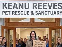 Фото с открытием приюта Киану Ривза сгенерировано с помощью ИИ