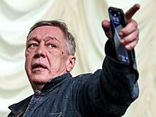 Ефремов сделал «политическое» заявление