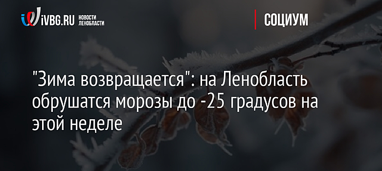 "Зима возвращается": на Ленобласть обрушатся морозы до -25 градусов на этой неделе