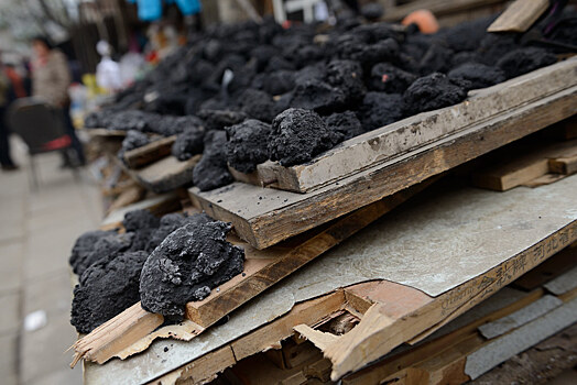 Дерипаска раскритиковал «алчный китайский бизнес» за развитие угольной энергетики