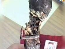В Кыштыме карлика Алешеньку покажут туристам