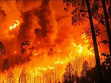 В Хабаровском крае площадь лесных пожаров превысила 1,1 тыс. га
