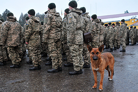 Военные: Командиры ВСУ боятся появляться на передовой в Донбассе
