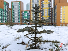 Рентабельность девелопмента в регионах балансирует на грани краха: между нулевым доходом и оптимизмом