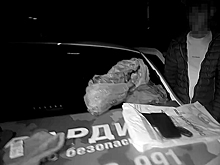 В Новосибирске мигрант-дроп попался в кустах на пересчете дневной зарплаты
