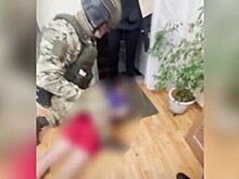 Лицом в пол уложили директора спортшколы в Славянске-на-Кубани