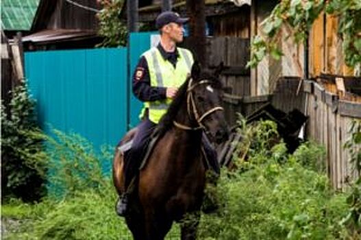 В Красноярском крае конными полицейскими задержан подозреваемый в краже