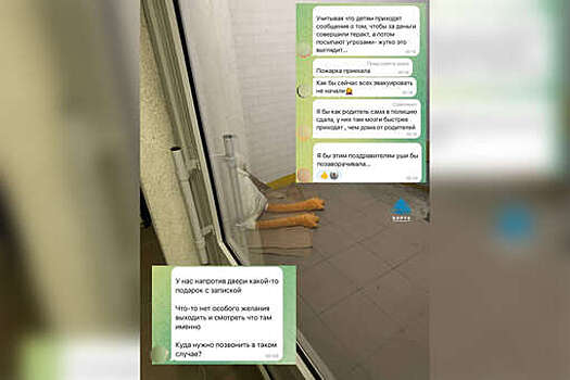 В Красноярске жители многоэтажки вызвали полицию из-за игрушечного гуся