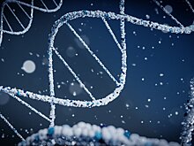 Врач рассказал, какой метод позволит прочитать геном человека