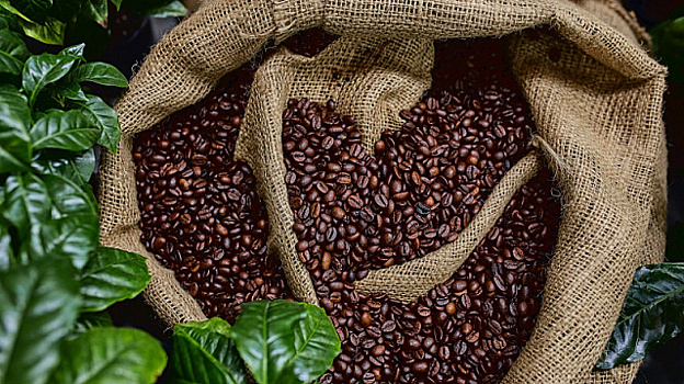 Экспорт кофе из Зимбабве вырос на 14% в первом полугодии 2025 года