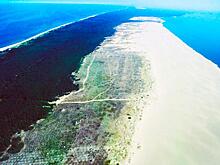 Балтика: Литва рискует потерять Куршскую косу, Польша - Балтийскую