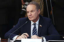 Сенатор Башкин заявил, что снаряды с ураном уничтожат в случае их передачи ВСУ