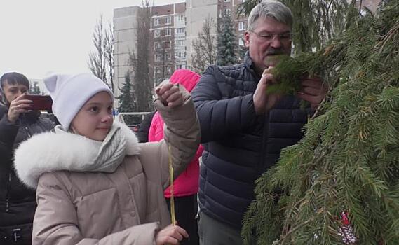 В Курчатов привезли ёлку с родины Деда Мороза