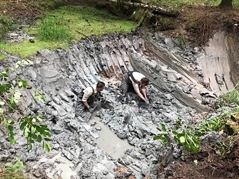 В Бранёво нашли советский бомбардировщик и останки членов экипажа 