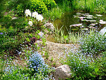 Пруд? Ручей? Фонтан? Выбираем водоем для дачного участка