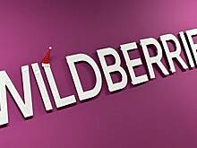 В Wildberries опровергли сообщения о невозможности оплаты покупок картами Visa