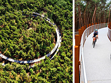 Велодорожка в Бельгии позволяет прокатиться по лесу на высоте 10 метров над землей