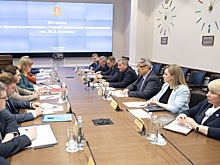 Волгоградский губернатор провел рабочую встречу с представителями студии Грекова