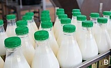 Татарстан вошел в число регионов России с максимальным объемом реализации молока