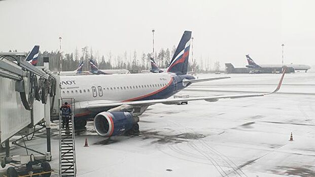 "Аэрофлот" 18 и 19 января отменил 16 рейсов из Шереметьево
