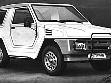 Единственный в мире внедорожник-кабриолет Lada 21 Бора