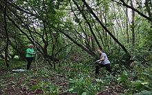 В Рязани волонтёры привели в порядок тропу Сергия Радонежского