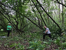 В Рязани волонтёры привели в порядок тропу Сергия Радонежского