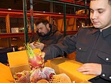 100 тонн санкционной продукции уничтожено в Нижнем Новгороде
