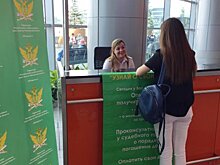 В Домодедово пассажирам предложили проверить свои долги