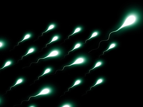 Опасные вирусы обнаружены в мужской сперме