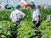 "Этой уникальной разработкой мы открываем большую дорогу для агропрома"