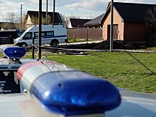 Опубликовано видео задержания подозреваемых в убийстве под Сызранью