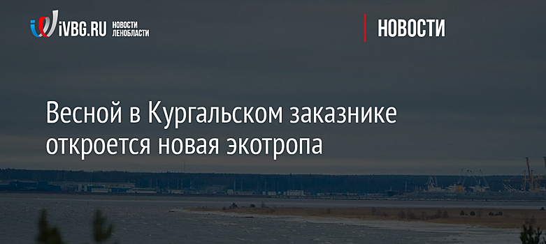 Весной в Кургальском заказнике откроется новая экотропа