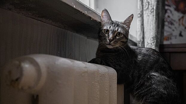 В Волгоградской области начали досрочно отключать отопление