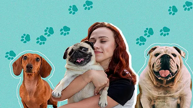 Шесть пород собак, которые не советуют заводить ветеринары