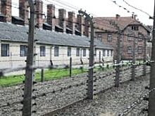 Швейцарский парламентарий сравнил узников концлагеря со свиньями