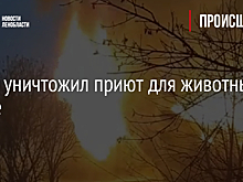 Огонь уничтожил приют для животных в Луге