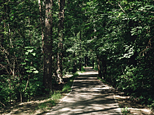 В городском округе Щелково завершили оборудование 8 народных троп