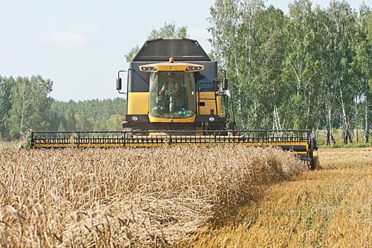 Андрей Травников договорился об увеличении поставок зерна на экспорт