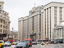 В ГД не исключили появления новых законов после ЧП в роддоме Новокузнецка