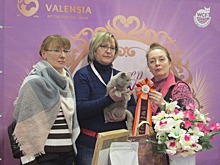 «Мистер Кот» в Москве.