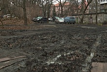 Грязь вместо зелени: власти Калининграда рассказали о последствиях парковки на газоне