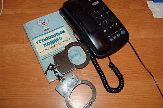 Комитет Думы поддержал ужесточение наказания за телефонный терроризм