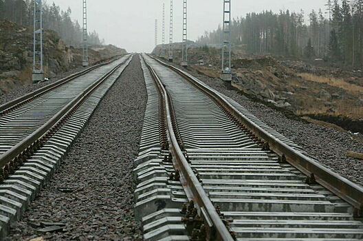Восточный полигон железных дорог предлагают развивать с помощью механизмов ГЧП